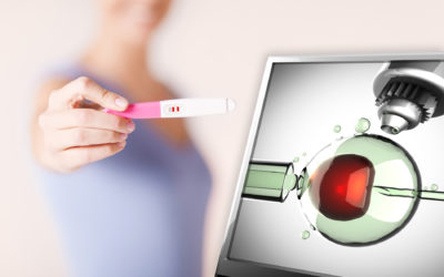 Wer ist Mutter und Vater, wenn das Kind im Reagenzglas entsteht?