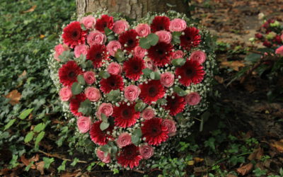 Tod & dann? – Luxusgrab oder grüne Wiese